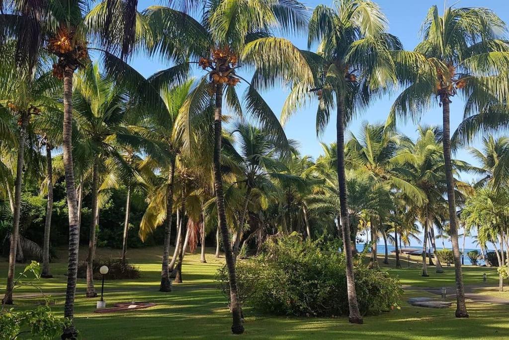 KARIBEKO : Exceptionnel&Rare : Plage , Piscine, WiFi privé Saint-Francois  Esterno foto