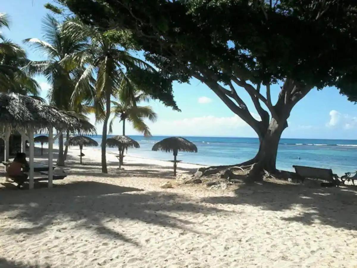 KARIBEKO : Exceptionnel&Rare : Plage , Piscine, WiFi privé Saint-Francois  Esterno foto